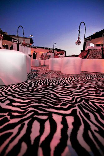 Zebra carpet