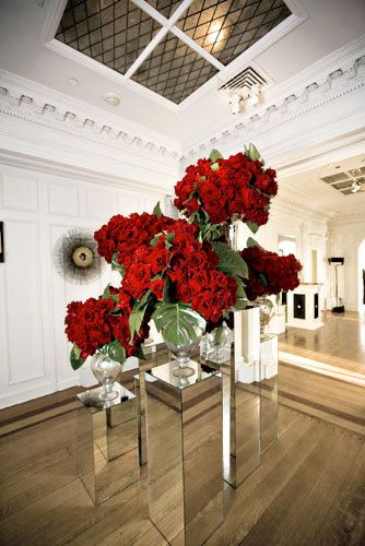 Floating Red Velvet Roses.