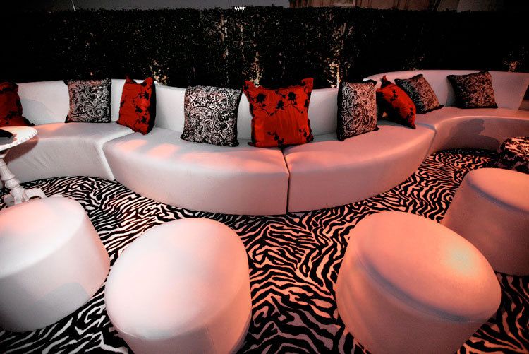Zebra themed decor with red accented pillows.