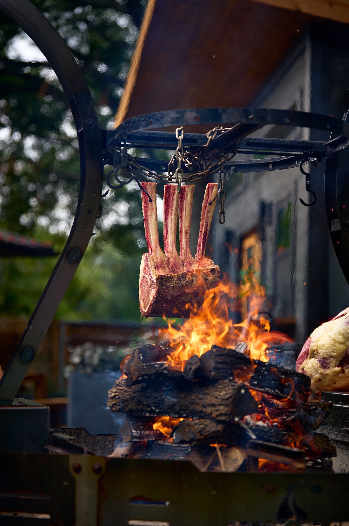 Frenched four-bone Rosewood Wagyu rib rack hanging raw above a hardwood fire before cooking