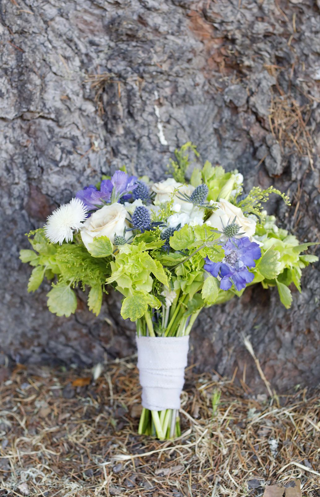 Pie Ranch Wedding in Pescadero