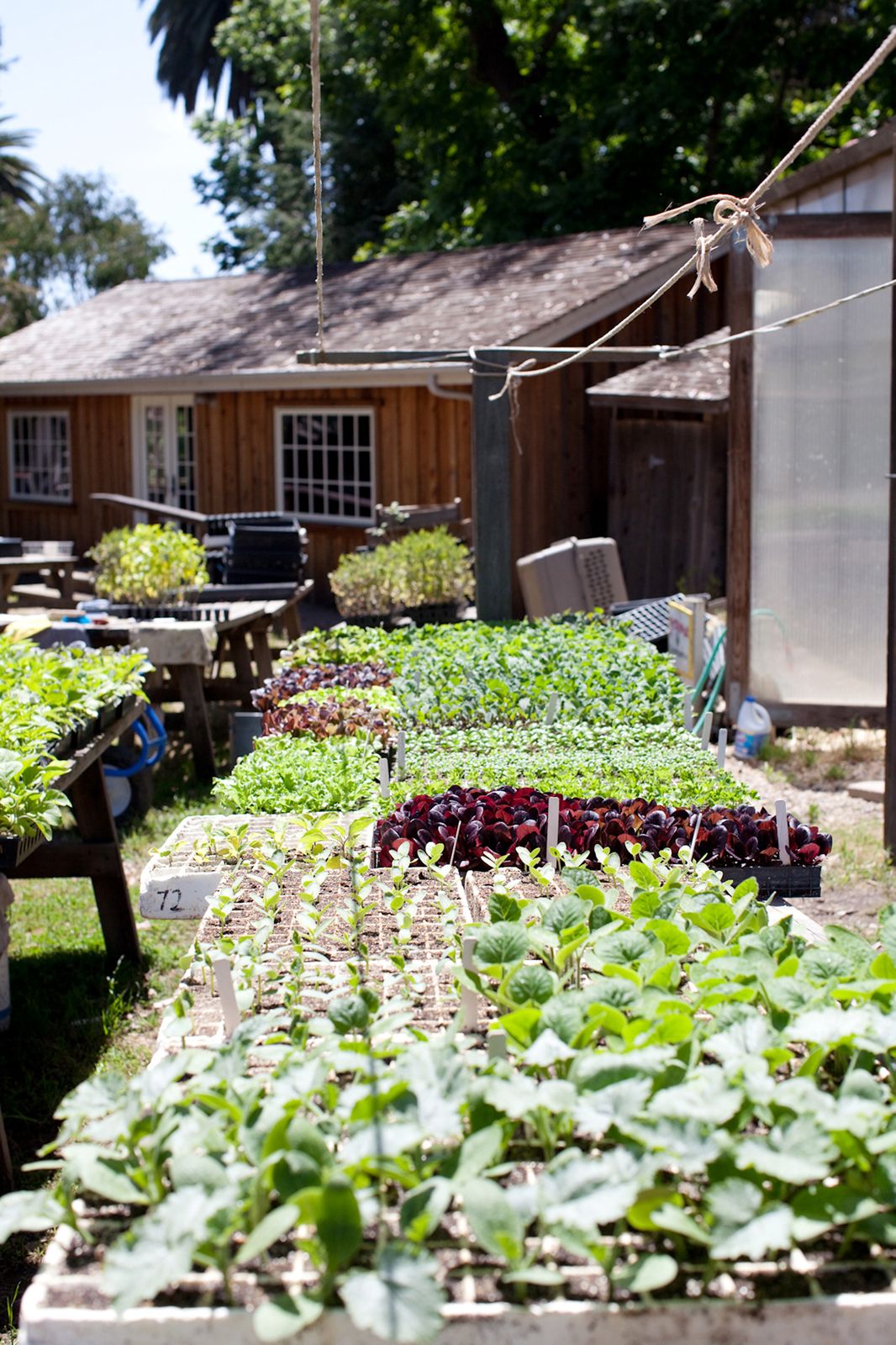 Pie Ranch Wedding in Pescadero
