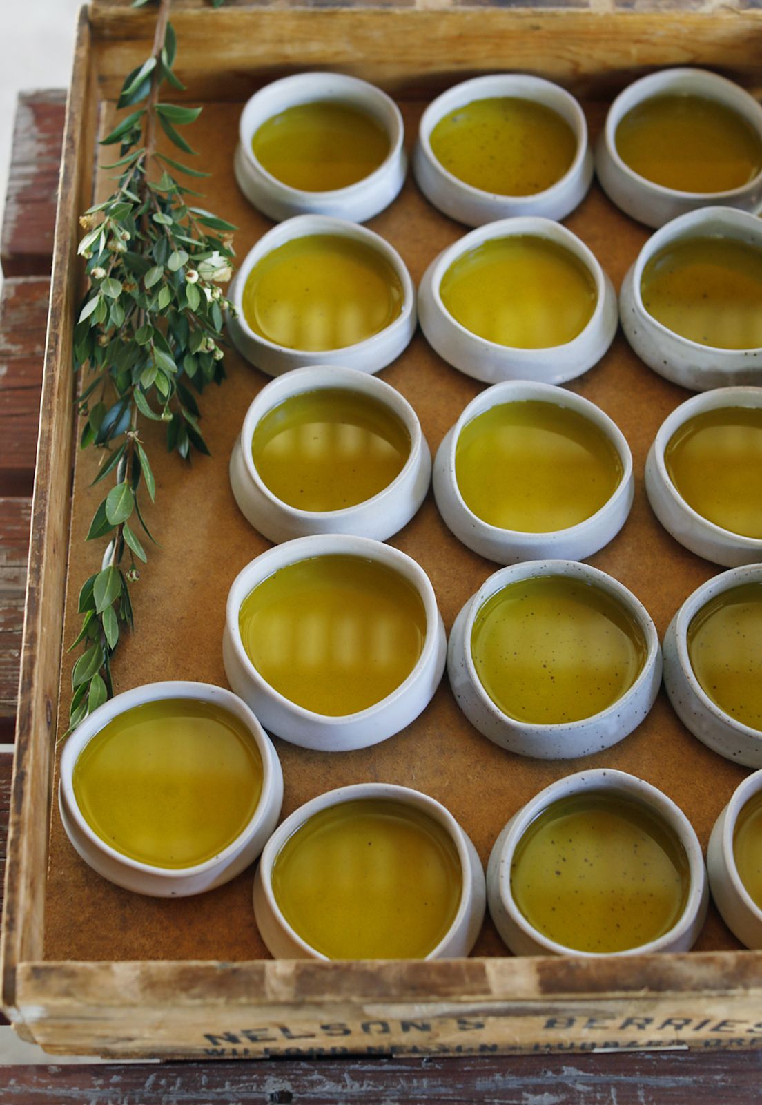 Pie Ranch Wedding in Pescadero