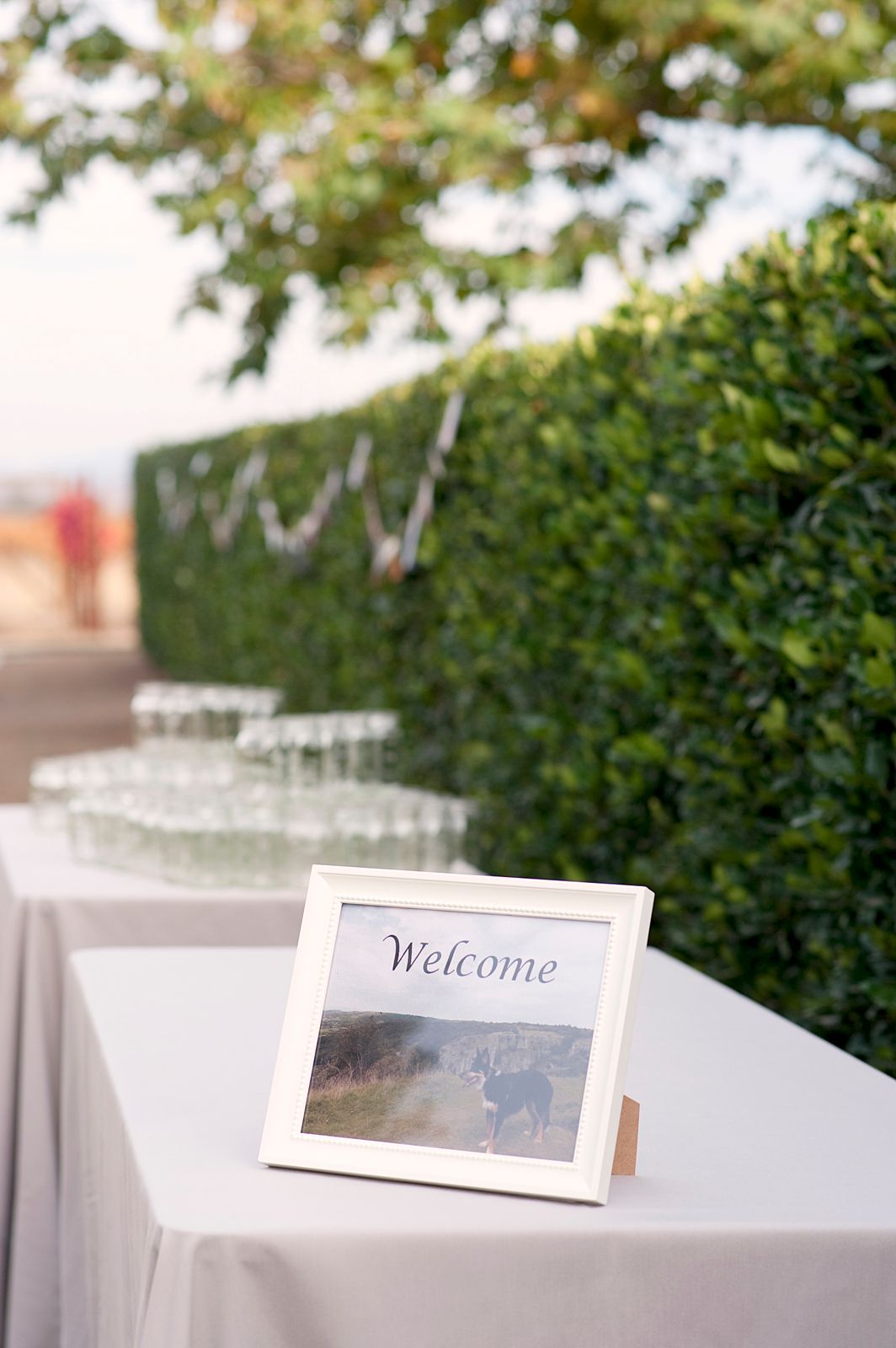 Cornerstone Gardens, Sonoma Wedding
