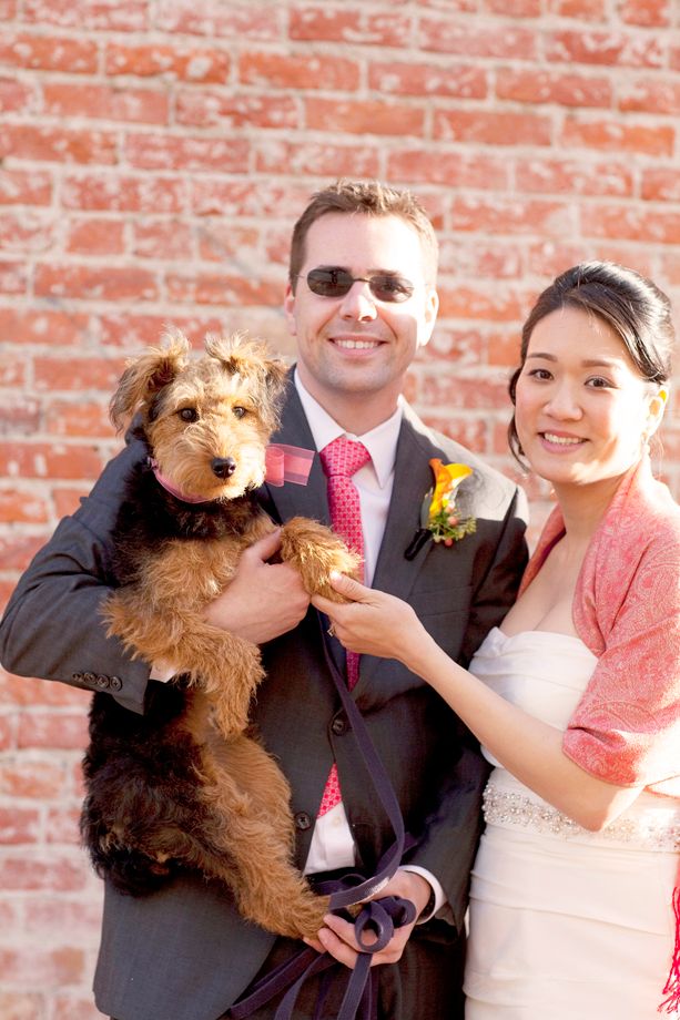 Petaluma Microwedding