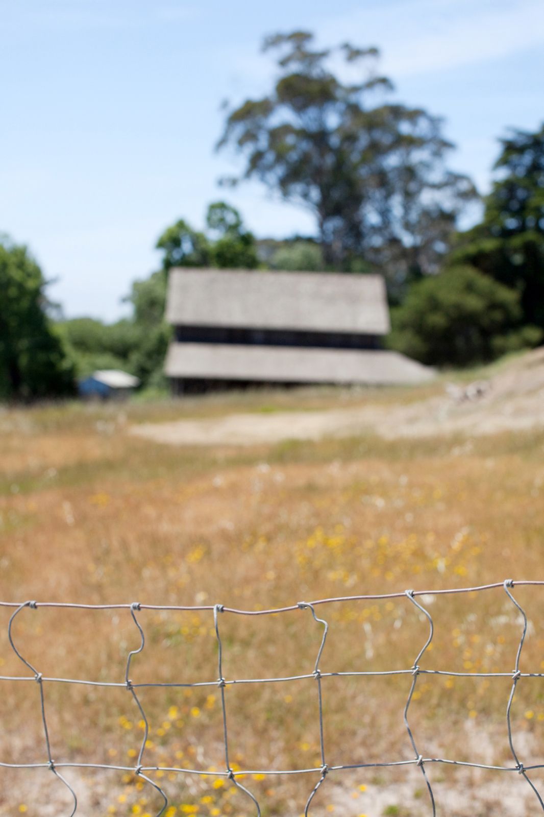 Pie Ranch Wedding in Pescadero