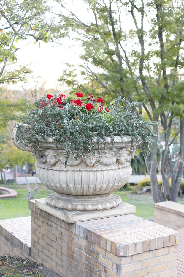 Falkirk Cultural Center Wedding