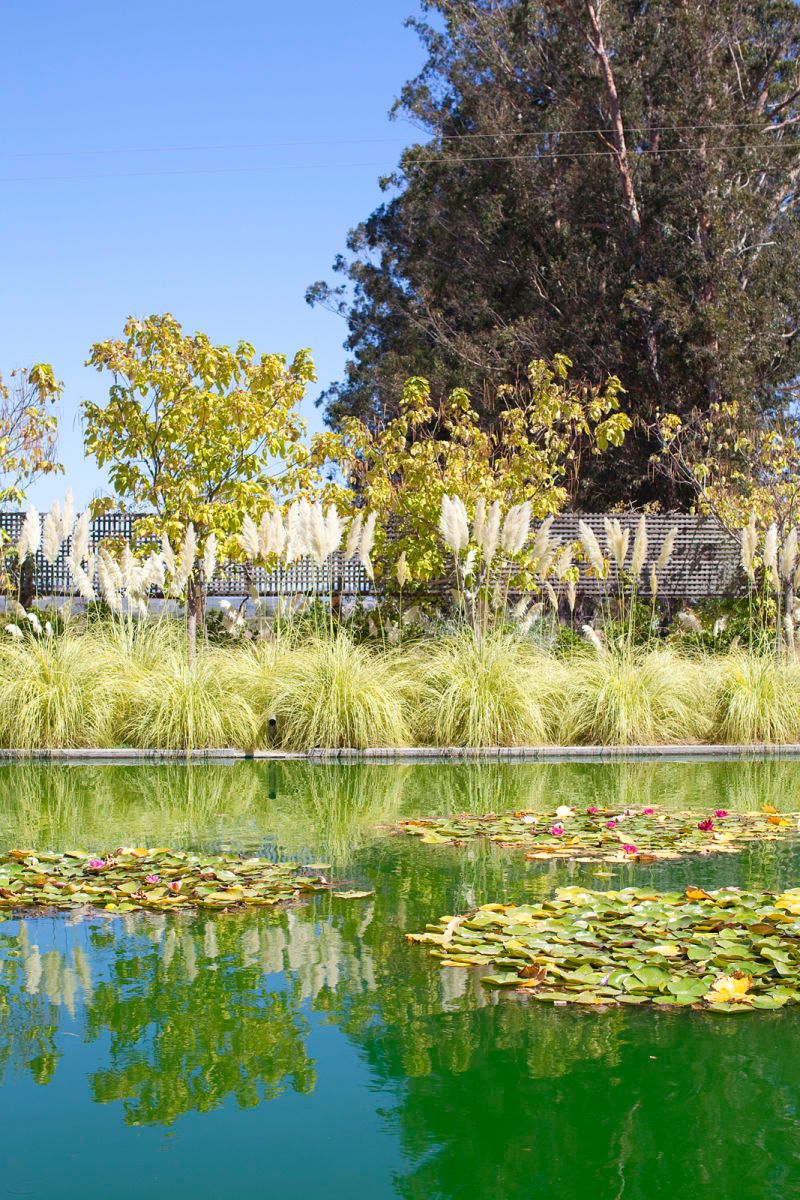 Cornerstone Gardens, Sonoma Wedding