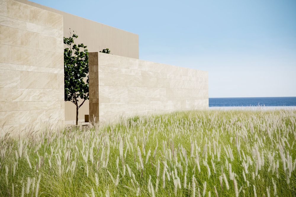 JW Marriott Los Cabos  Wall and Grass