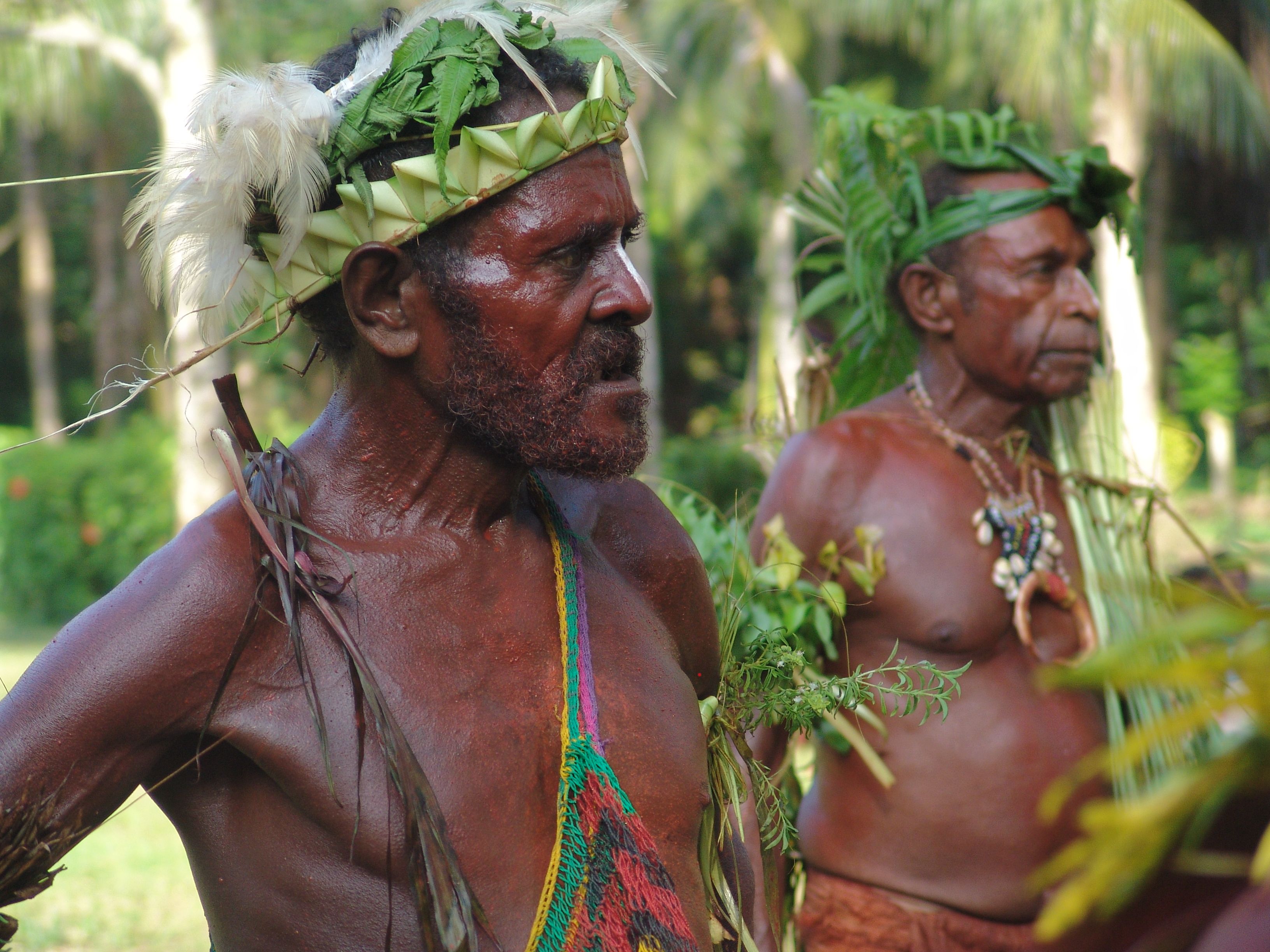 Sing-sing (Papua New Guinea)