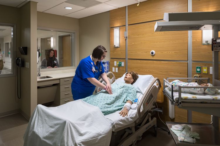 healthcare education