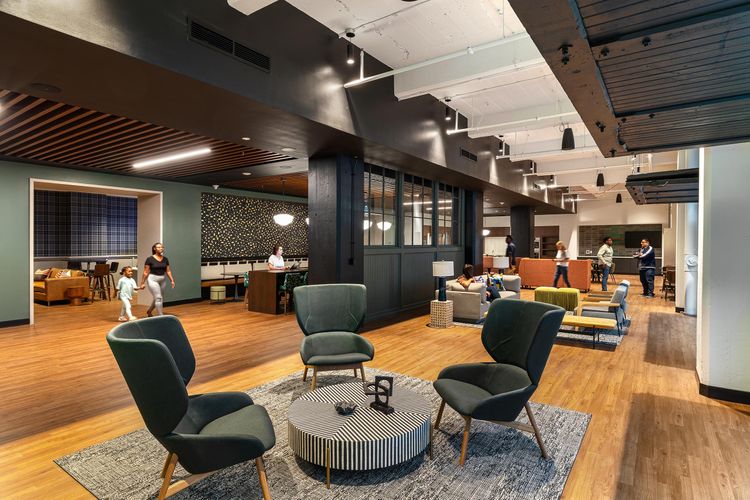 Trivers / The Victor