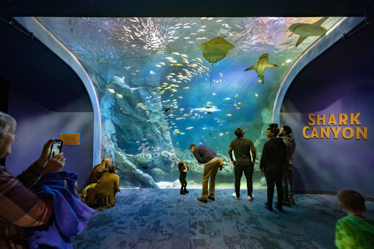 PGAV Destinations  /   St. Louis Aquarium