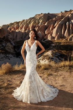 Alessandra_DR2015_full.jpg