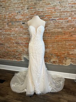 Photo Nov 06 2024, 4 10 03 PM - Copy.jpg