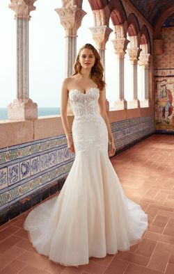 E103F_fe9d448278d6374705cad208a7ef2a7b.jpg