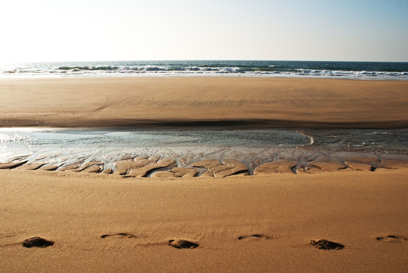 GRAY WHALE COVE.jpg