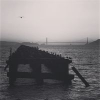 141027_BerkeleyMarina .jpg