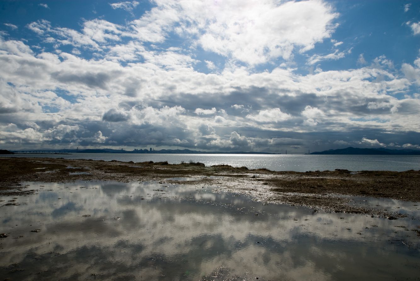 PT ISABEL_2560X1700.jpg