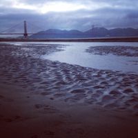 140716_CrissyField.jpg