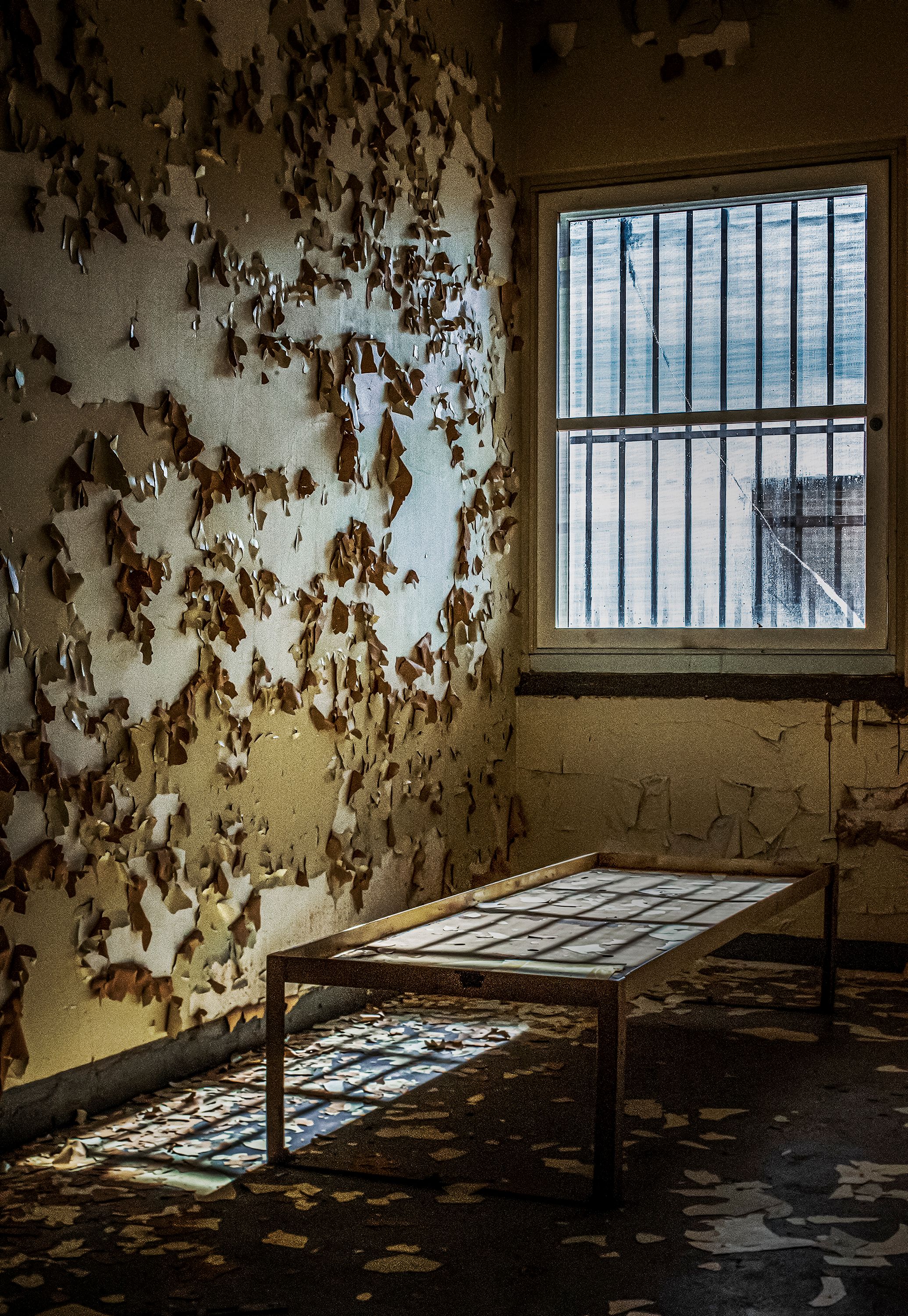 Alone In The Heart of the Light