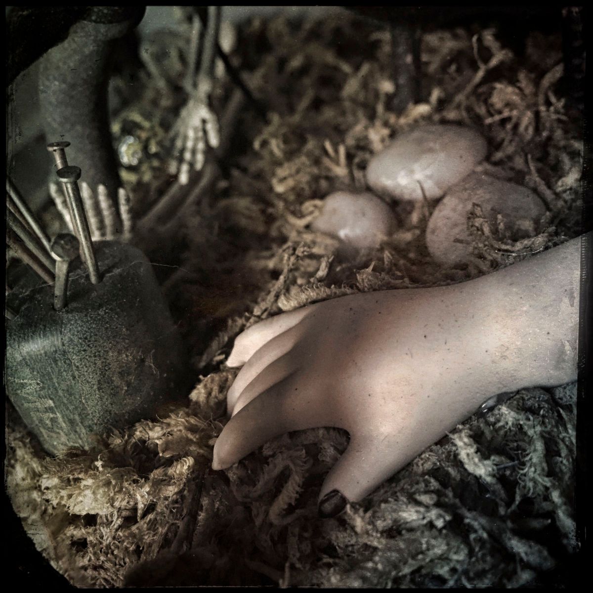 They Stretched Out Their Hands