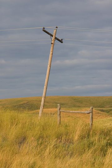 Phone Pole, Fences and Grass