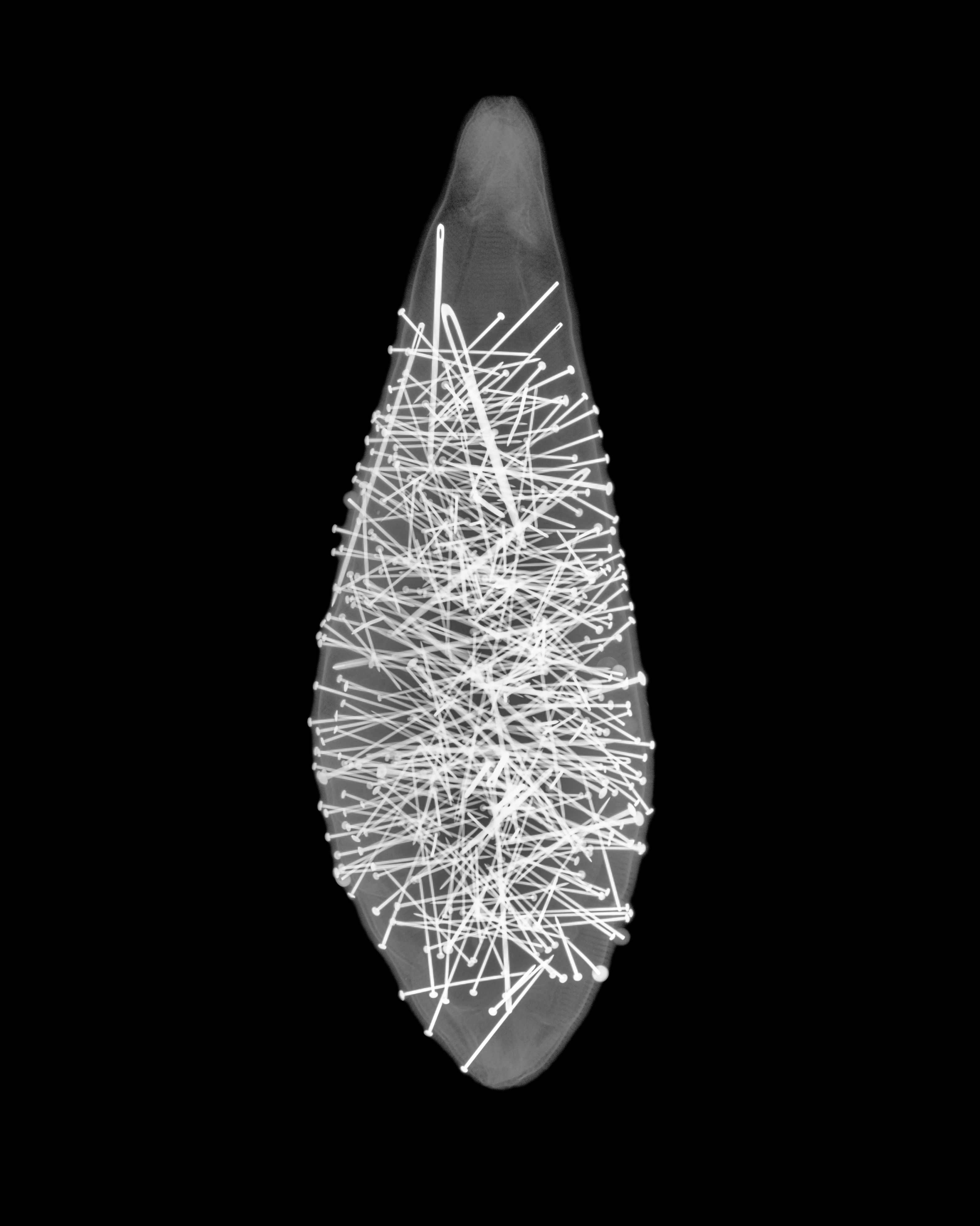 012 WOODS X RAY MUMS PIN CUSHION.jpg