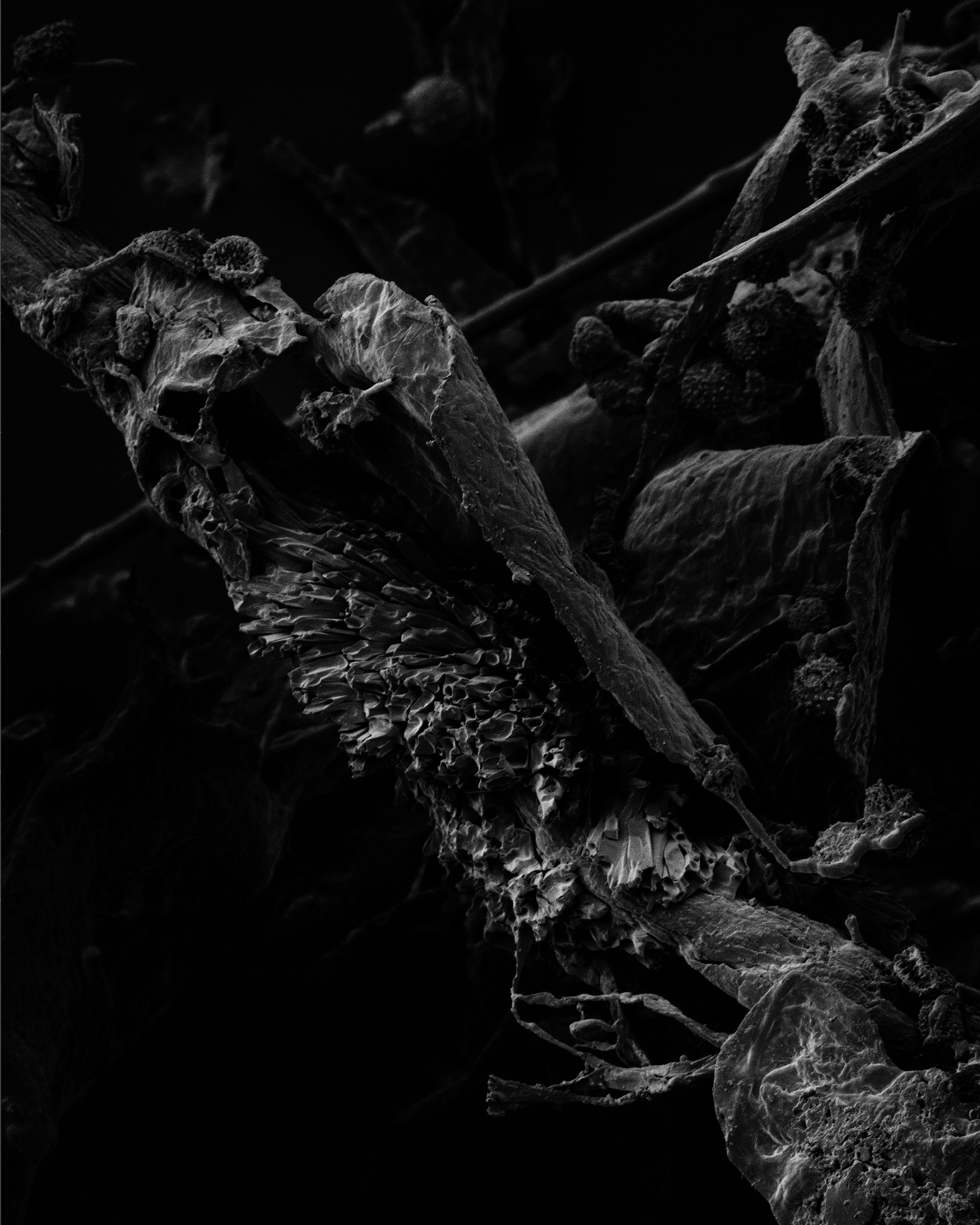 Fireplace_010 copy.jpg