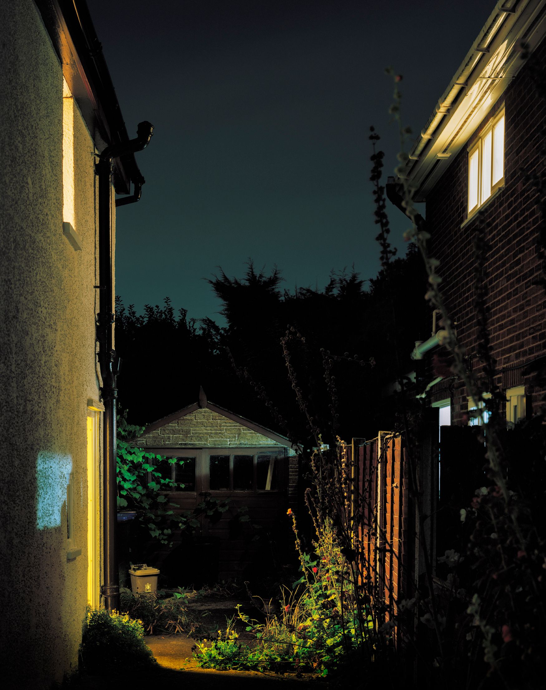 016 WOODS SIDE PASSAGE OF THE HOUSE OVERGROWN.jpg