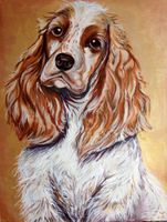 cocker spaniel dog portrait
