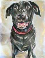 Dog portrait oil painting Chocolate lab dog portrait