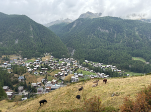 Screenshot 2025-10-27 at 9.15.47%E2%80%AFPM.png