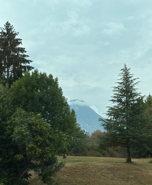 Screenshot 2025-10-27 at 9.16.56%E2%80%AFPM.png