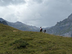 Screenshot 2025-10-27 at 9.13.03%E2%80%AFPM.png