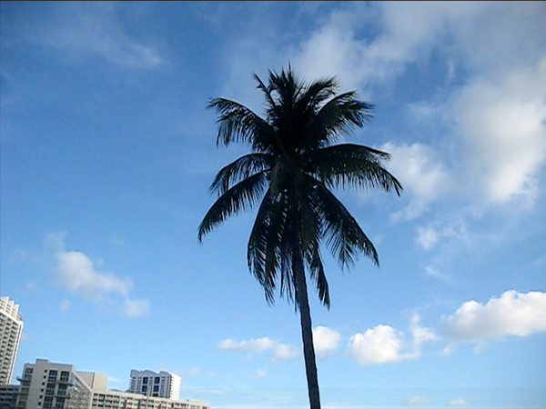 Screenshot 2025-11-04 at 5.33.29%E2%80%AFPM.png