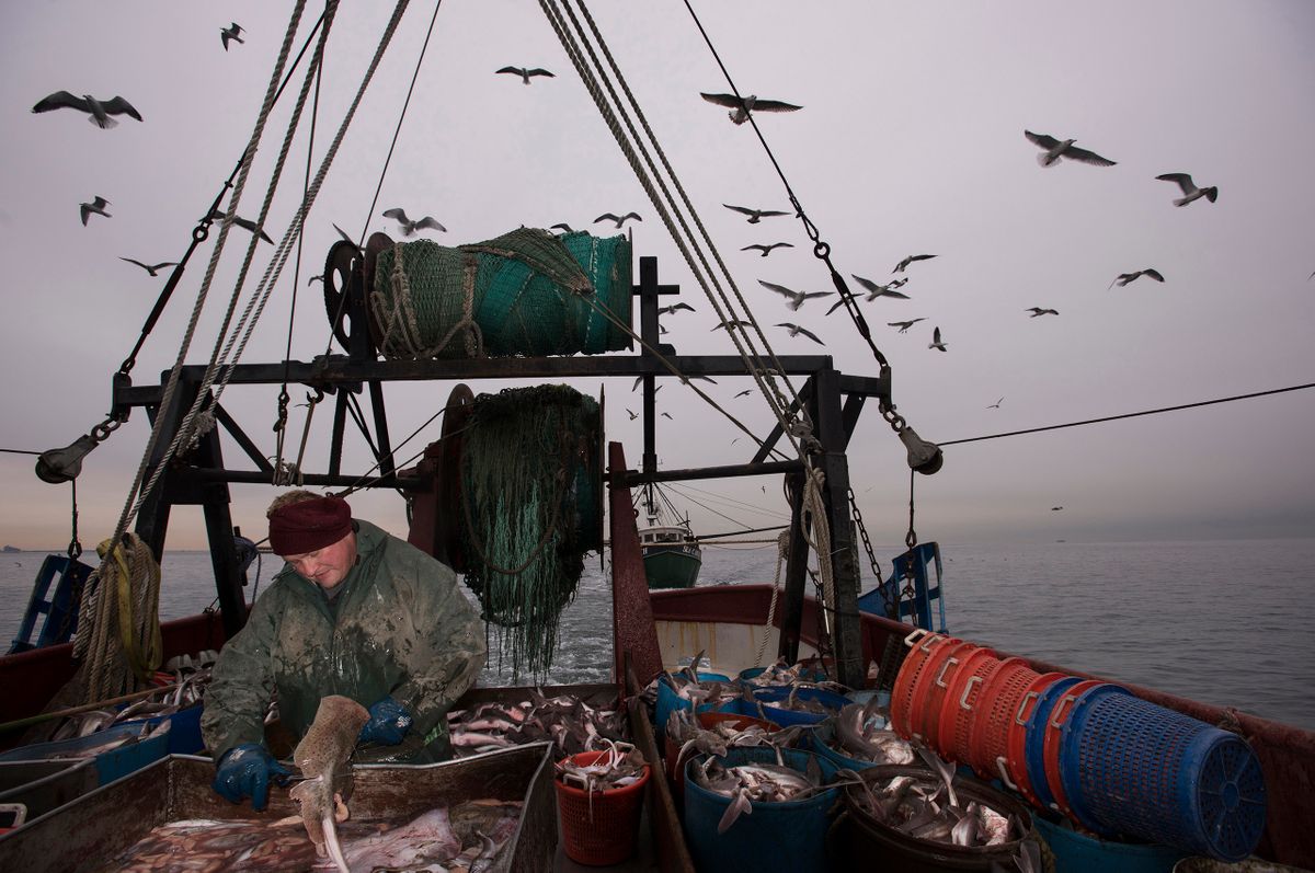 Fishing in the Atlantic