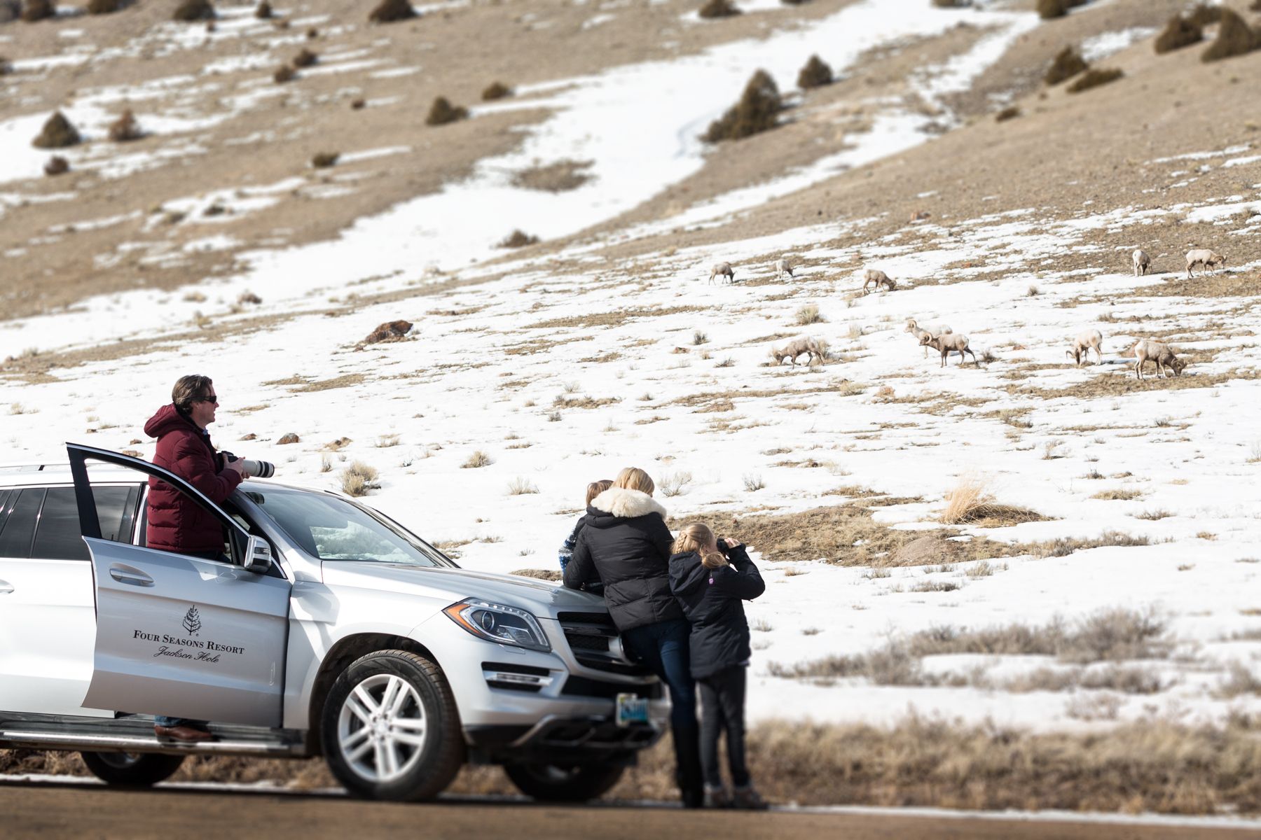 fsjh_winter_safari_044.jpg