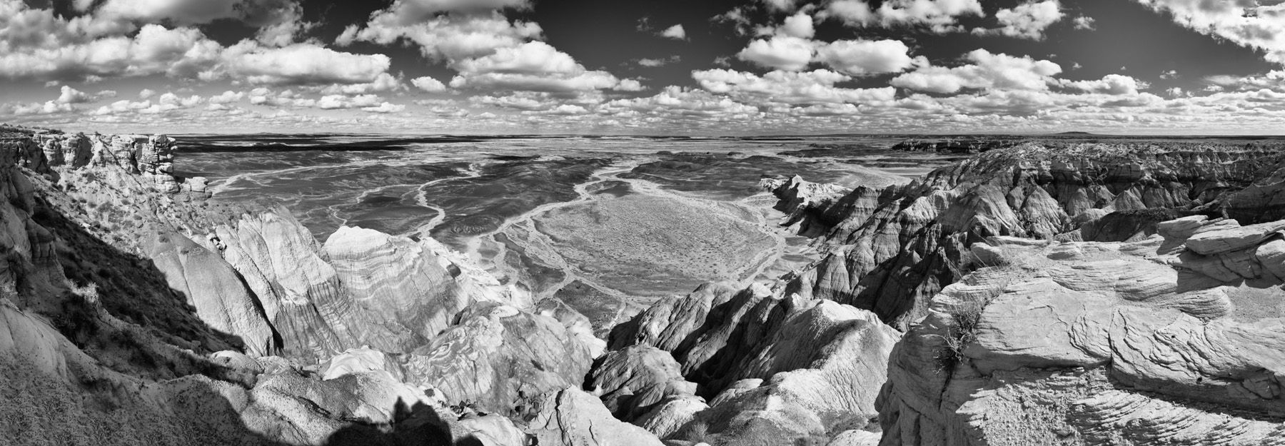 painted_desert_pano_bw.jpg