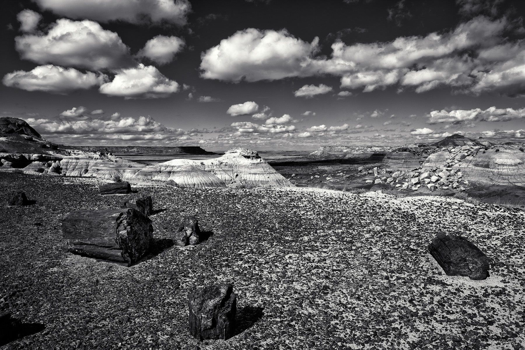 petrified_forest_ntl_park1_1.jpg