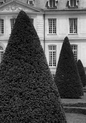 Black and white architectural landscape photograph of the historic formal gardens at Chateau de Sceaux in France by William Curtis Rolf. Study 1. hateau de Sceaux French Garden Black and White Print