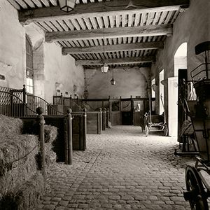 Fine-art black and white architectural photograph by William Curtis Rolf capturing a historic stable interior at Château de la Ferté-Saint-Aubin, France, featuring a beamed ceiling, stone floors, and a white horse in a stall under soft natural light. Château de la Ferté-Saint-Aubin France Stable Architecture Fine Art Print