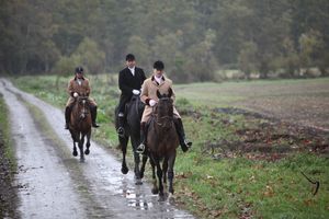 Color atmospheric photograph of a private field 2013 hunt in the forest at Chateau de Champchevrier.