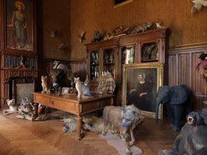 Color photograph of a private taxidermy salon framing architectural symmetries and natural history at Château de Challain-la-Potherie by William Curtis Rolf. Château de Challain Taxidermy Salon Fine Art Print
