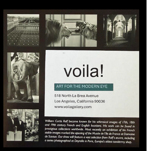 Voila Gallery Los Angeles William Curtis Rolf Exhibition Invitation