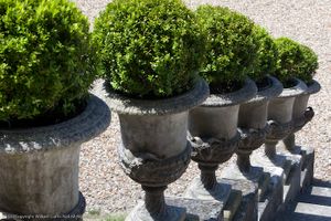 Inquire to acquire official limited edition color fine art prints of the sculptural stone garden urns at Château de Champlâtreux by William Curtis Rolf. William Curtis Rolf color photography Chateau de Champlatreux formal garden stone urn boxwood topiary staircase France Formal Gardens Portfolio