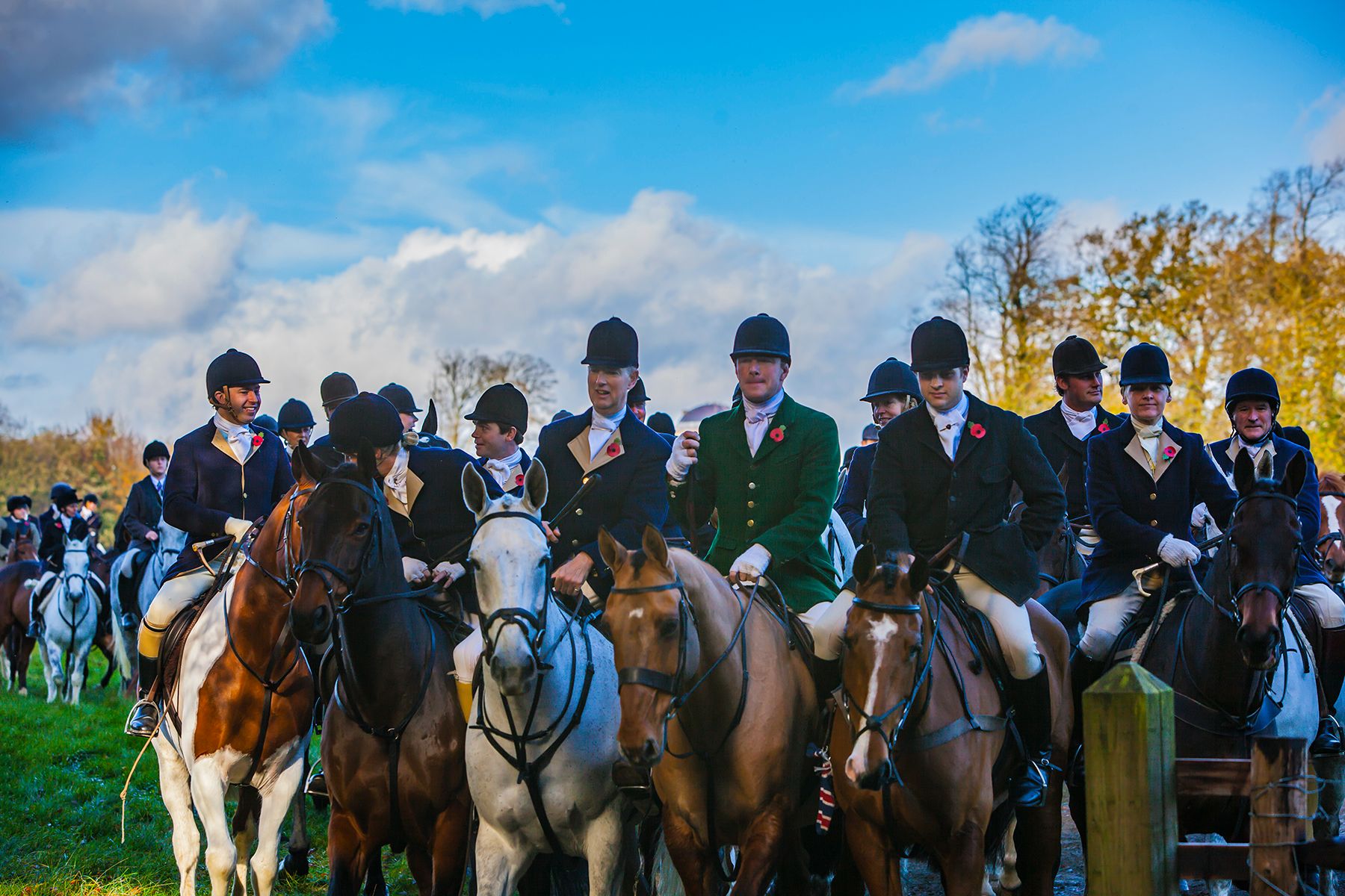 Duke of Beaufort's Hunt-Badminton, England (Study #2)