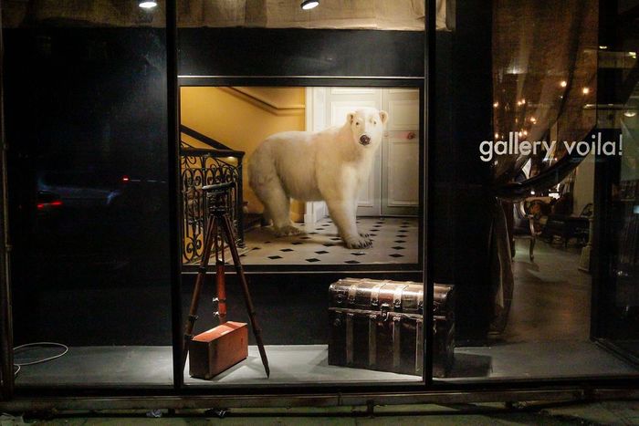 Los Angeles Window Installation — William Curtis Rolf Print