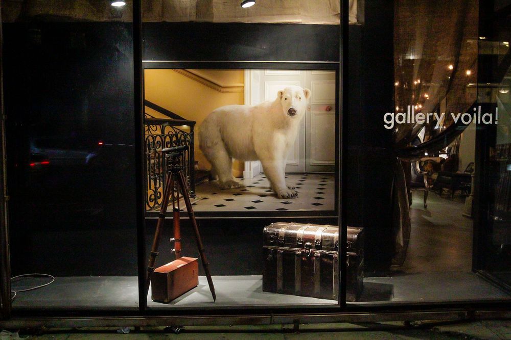 Deyrolle, Paris-Polar Bear 