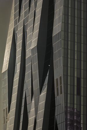 Vienna DC Tower Dominique Perrault Black White Print
